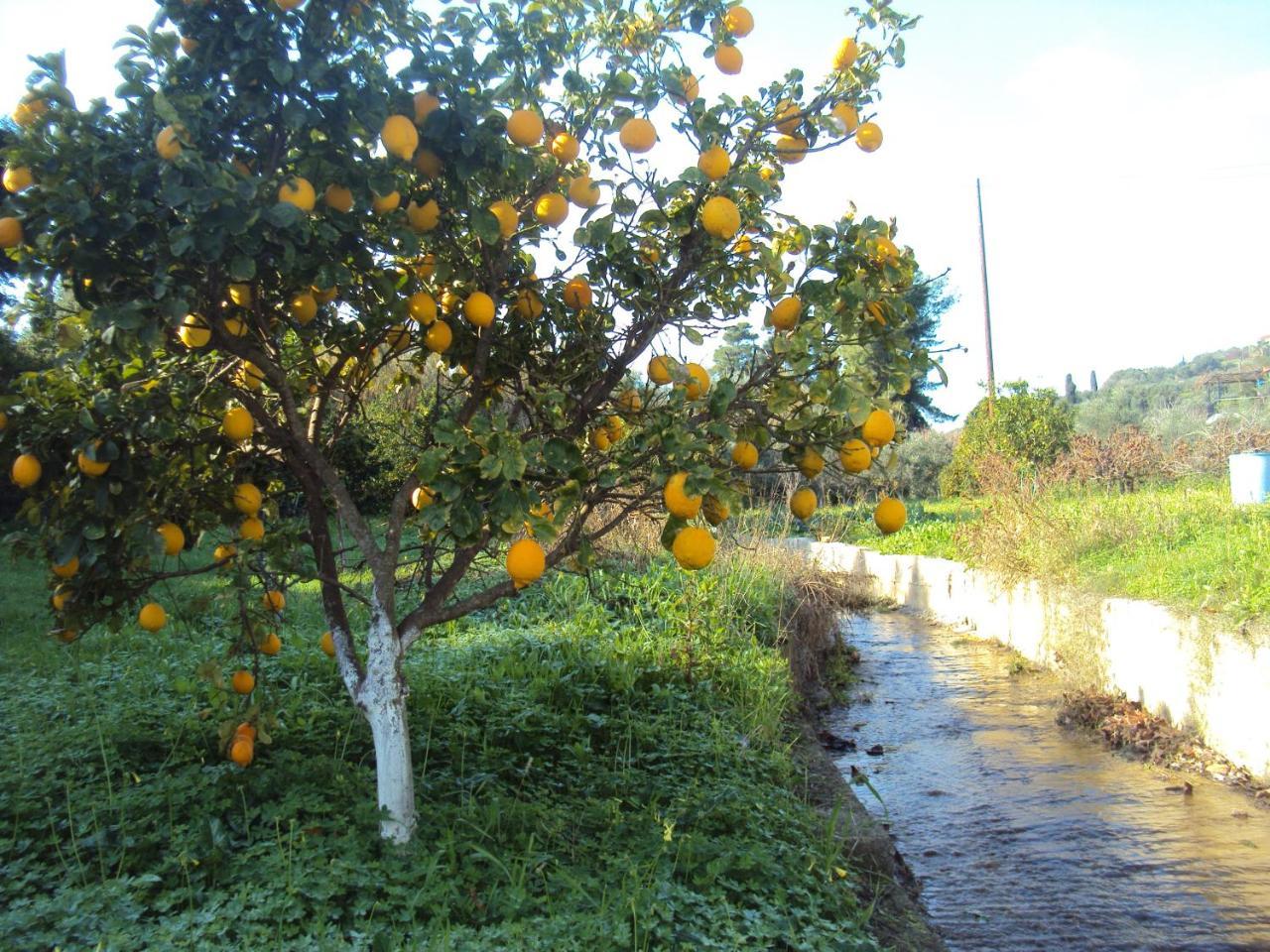 Villa Nostos Koróni Exteriér fotografie