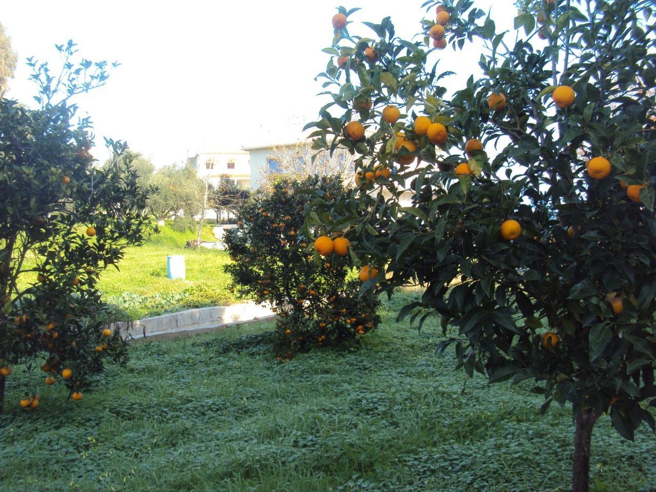 Villa Nostos Koróni Exteriér fotografie